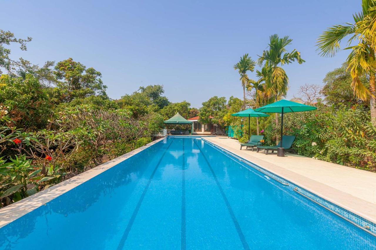 Stayvista'S Casa Palmera - Pet-Friendly Villa With Pool, Garden With Gazebo, And Indoor & Outdoor Games アリバグ エクステリア 写真