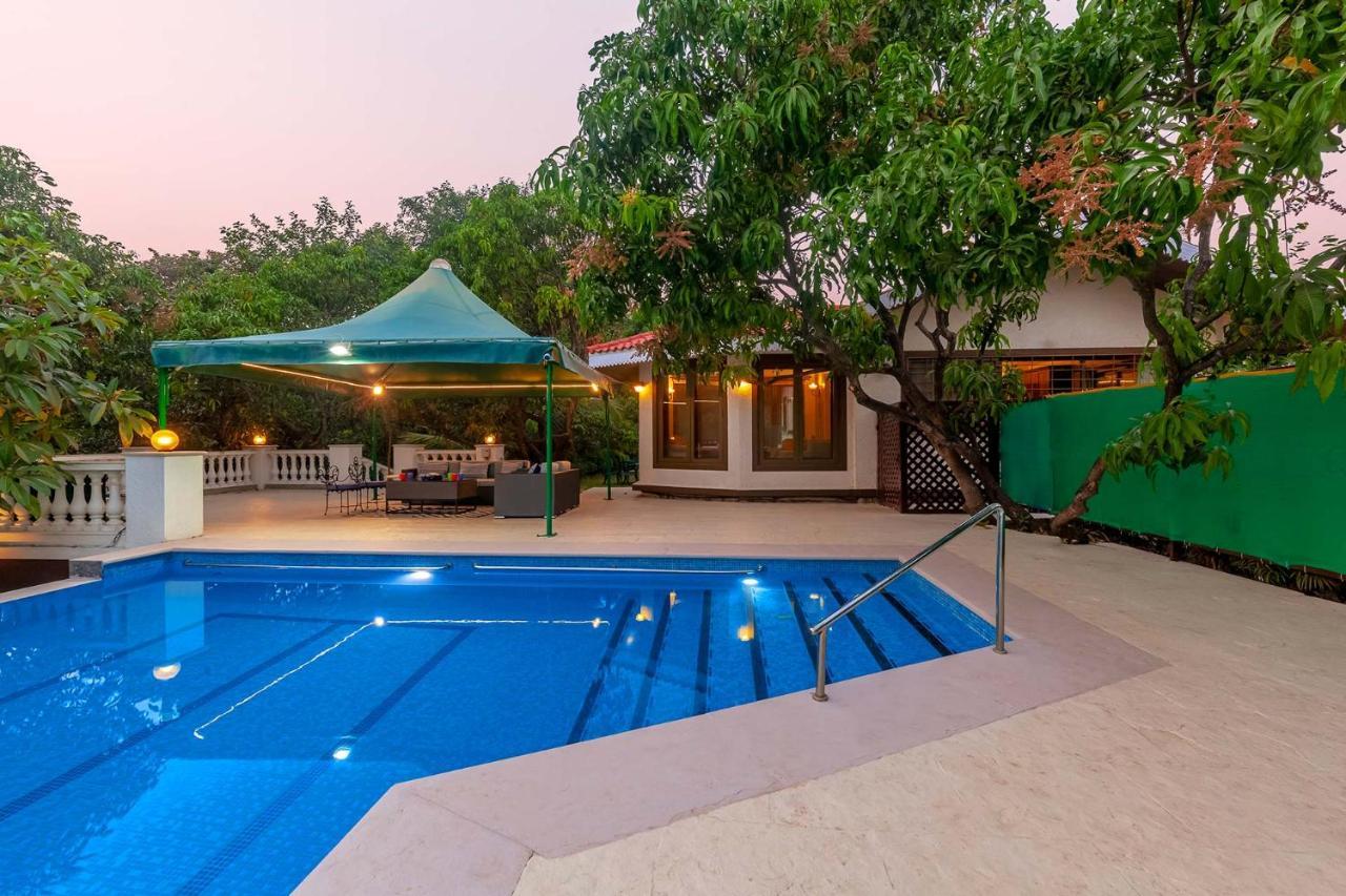 Stayvista'S Casa Palmera - Pet-Friendly Villa With Pool, Garden With Gazebo, And Indoor & Outdoor Games アリバグ エクステリア 写真