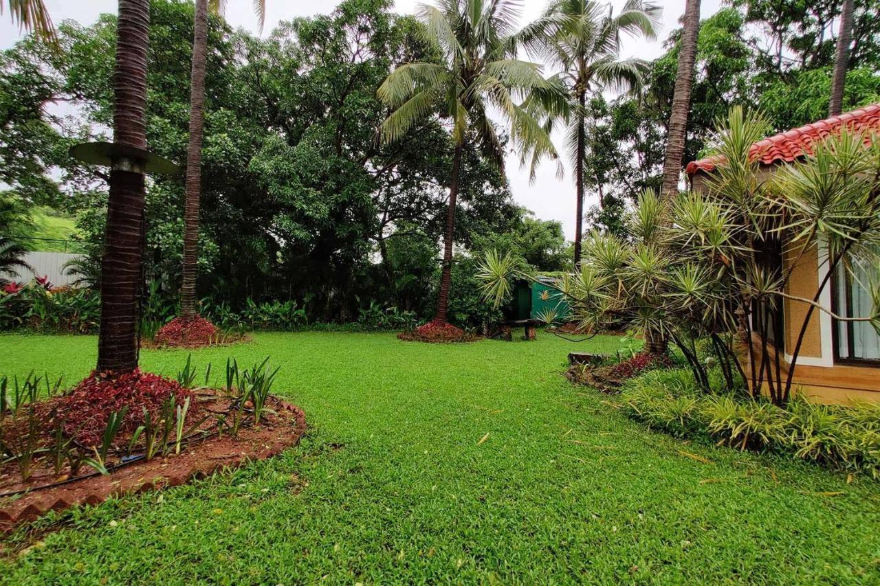 Stayvista'S Casa Palmera - Pet-Friendly Villa With Pool, Garden With Gazebo, And Indoor & Outdoor Games アリバグ エクステリア 写真